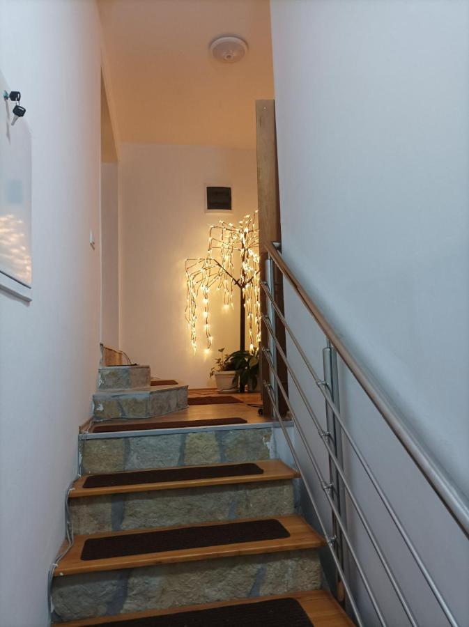 Apartmani Mladenovic Kijevo Esterno foto